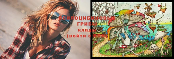 ешки Абаза