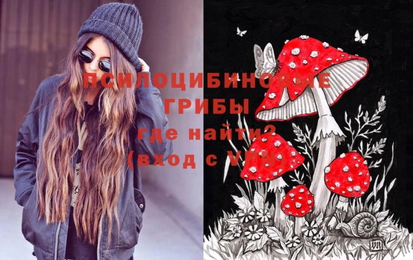 ешки Абаза