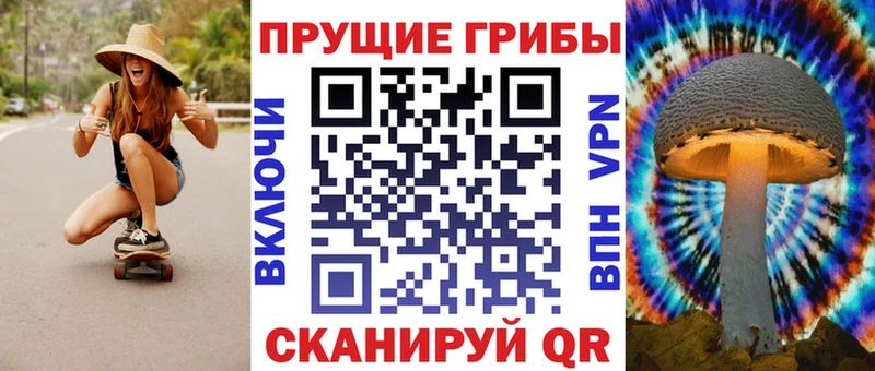 Псилоцибиновые грибы мицелий  Полярный 